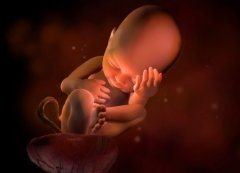 【科学营养】科学喝牛奶,成就一个健康好宝宝